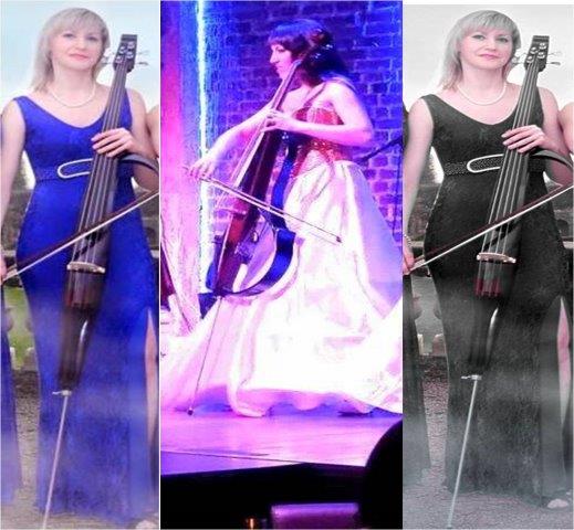 cello artists ahmedabad