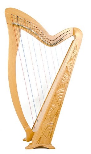 best harp on rent ahmedabad