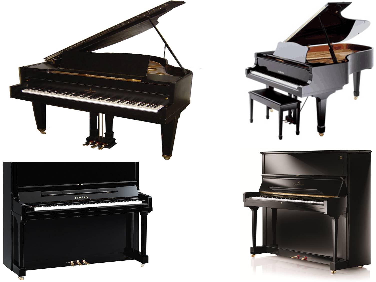 Grand Piano on rent in Ahmedabad
